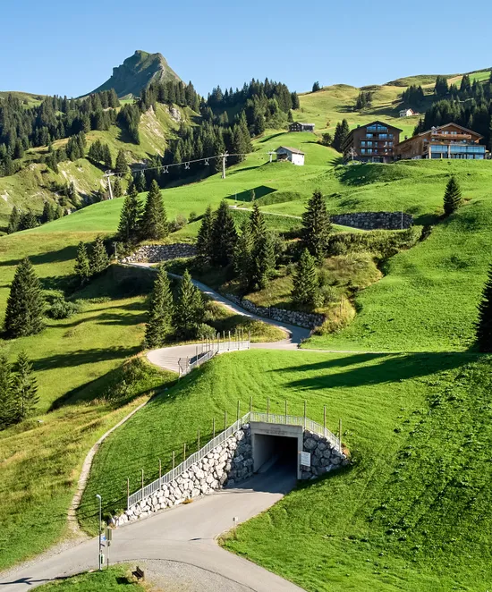 14_drohne_sommer_walisgaden.jpg