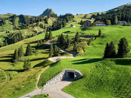 14_drohne_sommer_walisgaden.jpg