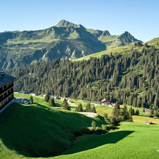 12_drohne_sommer_walisgaden.jpg
